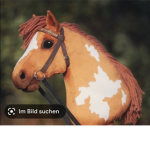 Die hobby horse Gruppen