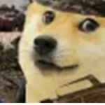 Dogeland Doggo Army [DDA]