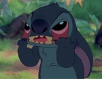 # we love stich