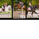 Blossom Wood Eventing