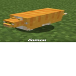 robux flex group