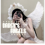 - darcy’s angels -