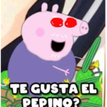 0o0 kk