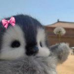 Hey6