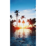 Summervibes :)