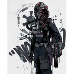 The Imperial Navy (Star wars)