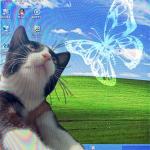 catsies !!