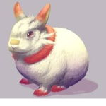 Bunnie Squad Forever