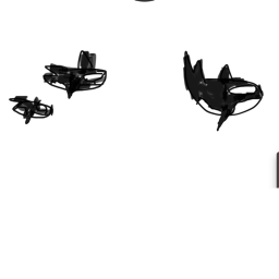 racing orcas