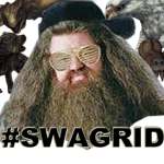 hagrids hut