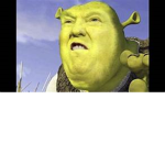 For the boiiiissss