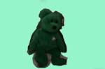 Erin the lucky bear!