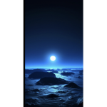 midnight sun <33