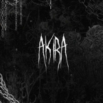 AK1R4