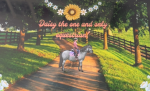 Daisy the one and only equestrian!
