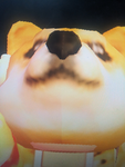 Doge_people