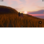Wegen robux lol