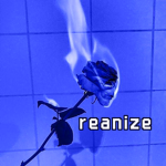 reanize