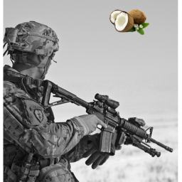 coconut army 코코넛 한국부대