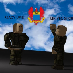 Military Inspection 👀