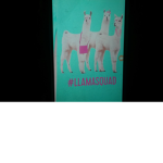 LLAMA SQUAD:/