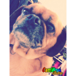 Puppy’s ate the best