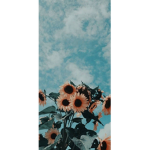The_chikennuggies