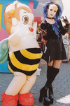 the gae bees