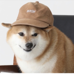 Da Dog Shows