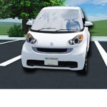 the mini car gang