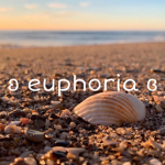 ʚ -euphoria- ɞ