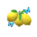 Rainmemes Studios