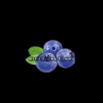 CoolBlueBerry Squad