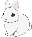 Bunny bun >:)