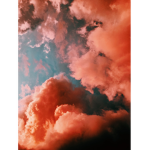 - SimplyDrops-