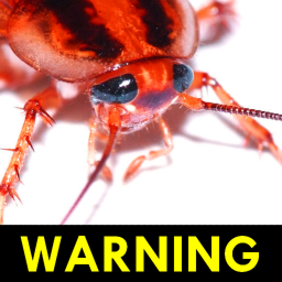 room full of roaches icon