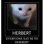 Herbert Fanclub