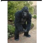 Monke is kool caca