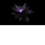 Black Lotusᅠ
