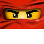 ninjago ninja group