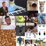 “the meme group.”