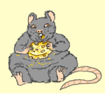 MADDY DA BHADDIES RAT CULT