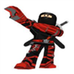 The Ninja Force