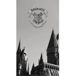 Hogwarts - School of Witchcraft and Wizardry~