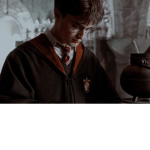 Harry Potter World Cup