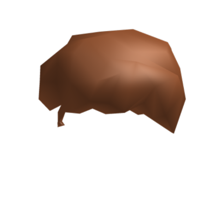 Normal Hair Roblox decal
