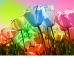 The fart flower group