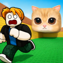 Don't Get Crushed By Gatito