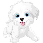 Team Puppy Forever!!!!!