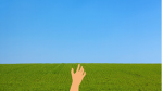 I Touched Grass Studios